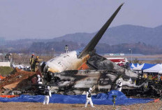 NUEVO Cronología y Causas del Accidente del Vuelo Jeju Air en Corea del Sur: Ave Ingresó al Motor