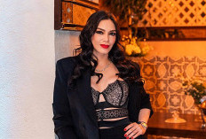 Hony Estrella xxx filtra el fotos del álbum completo telegram descarga, ¡el contenido es asombroso!