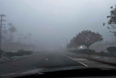 Niebla Misteriosa ‘Fogvid-24’ Desata Teorías de Conspiración sobre ‘Polvo Inteligente’ en el Reino Unido y América del Norte